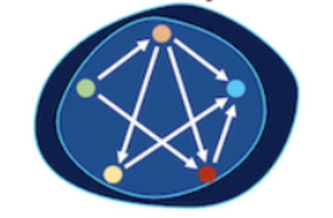 iQcell1: framing gene regulatory networks from scRNAseq data (2023)