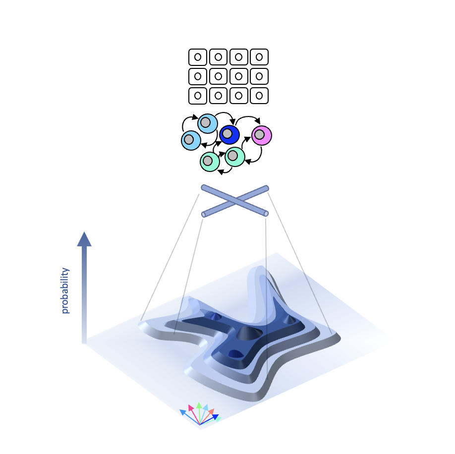 Mapping multicellular attractor of tissues via neural learning (ongoing)